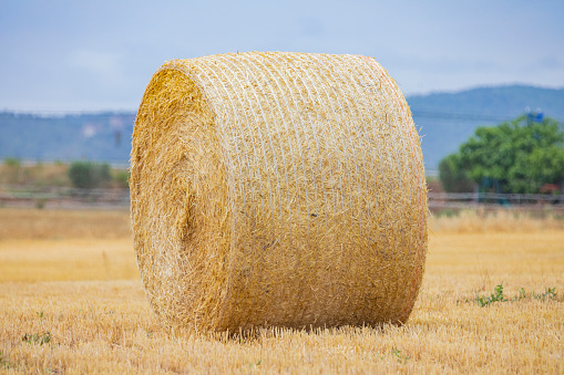 straw bale, summer landscape