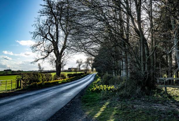 istock Scottish Country Lane. 1326639903
