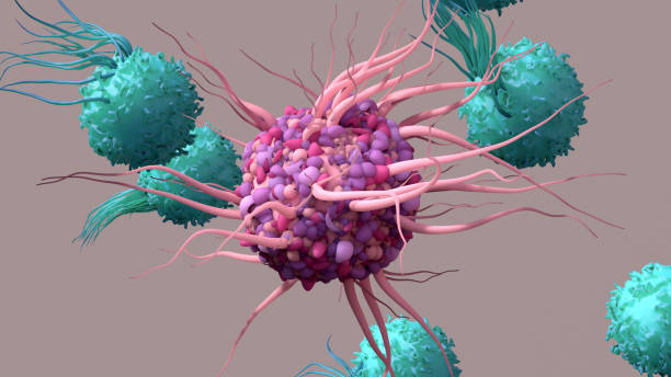 дендритные клетки активируют т-клетки, вызывают иммунные реакции, они отвечают за защиту клеток организма. - anti cancer стоковые фото и изображения