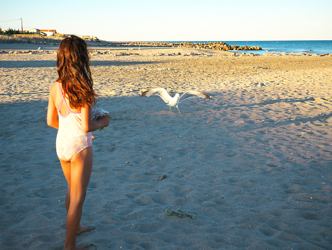 Beautiful photo of a girl on the beach feeding the seagulls