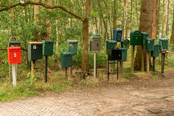 Colorful collection of various mailboxes with house numbers on a forest road