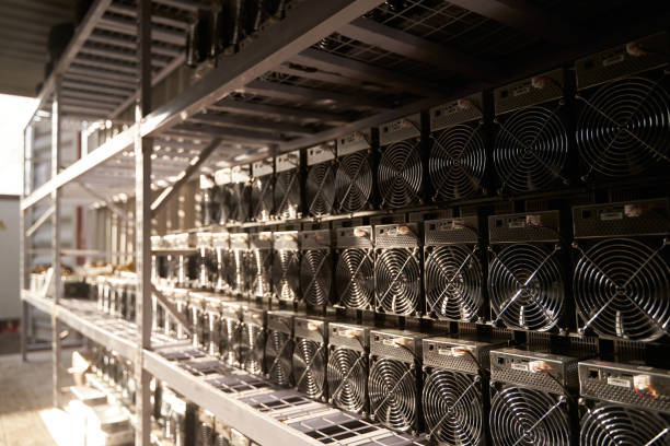 istock Bitcoin ASIC miners in warehouse. ASIC mining equipment on stand racks for mining cryptocurrency in steel container. Blockchain techology application specific integrated circuit units storage 1326647067