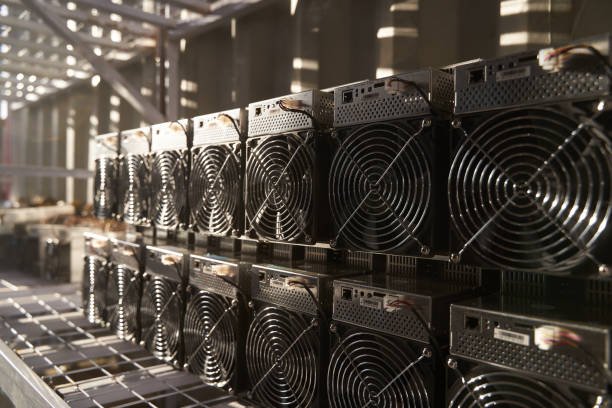 Bitcoin ASIC miners in warehouse. ASIC mining equipment on stand racks for mining cryptocurrency in steel container. Blockchain techology application specific integrated circuit units storage stock photo
