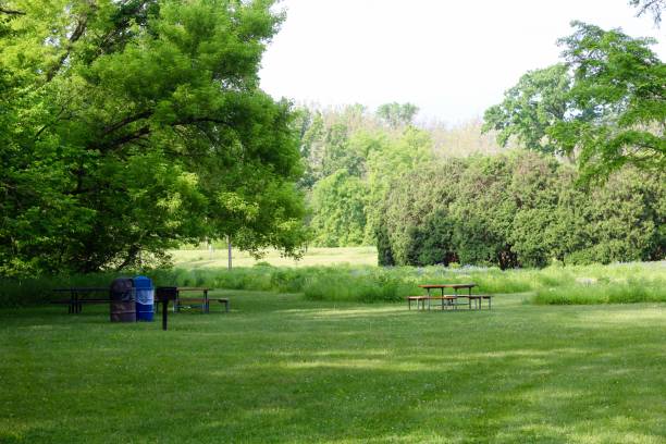 istock Picnic Area at Park 1326650525