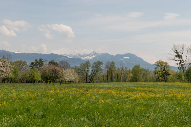 istock Oberriet in Switzerland 1326650530
