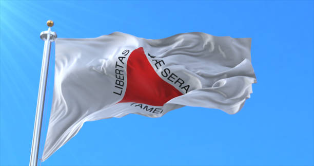 bandera del estado de minas gerais, brasil - state representatives fotografías e imágenes de stock