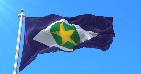 Bandera del estado de Mato Grosso, Brasil photo