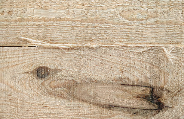 the texture of the light raw wood is photographed in close-up. natural background from pine boards. - veneer plank pine floor imagens e fotografias de stock
