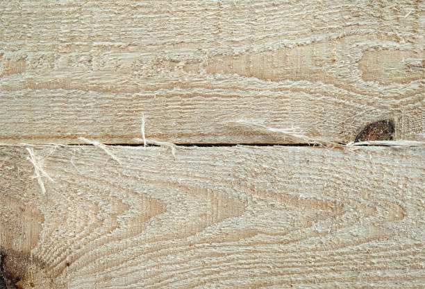 the texture of the light raw wood is photographed in close-up. natural background from pine boards. copy cpase. - veneer plank pine floor imagens e fotografias de stock