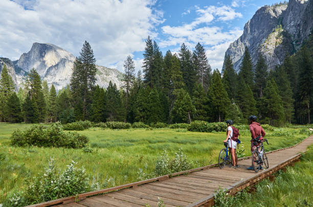 mountainbiken im yosemite-nationalpark. - recreational pursuit mountain biking nature outdoors stock-fotos und bilder