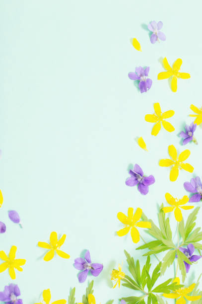 istock summer flowers on green paper background 1326654400