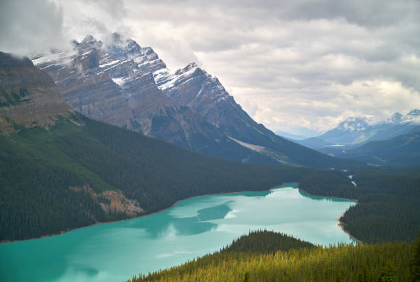 istock Peyto Lake Banff National Park 1326659249