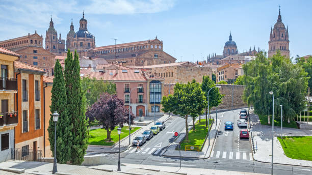 istock Salamanca in Spain 1326660559