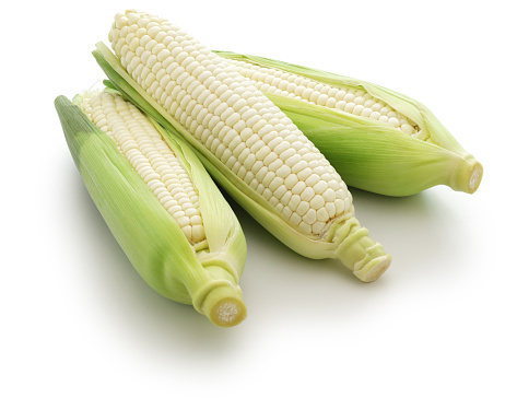 three white sweet corns isolated on white background