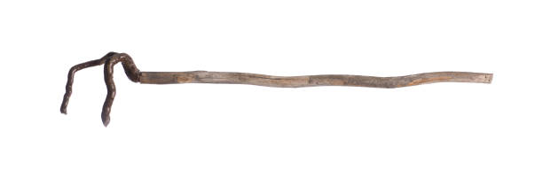 istock broken wooden staff isolated on white background 1326666974