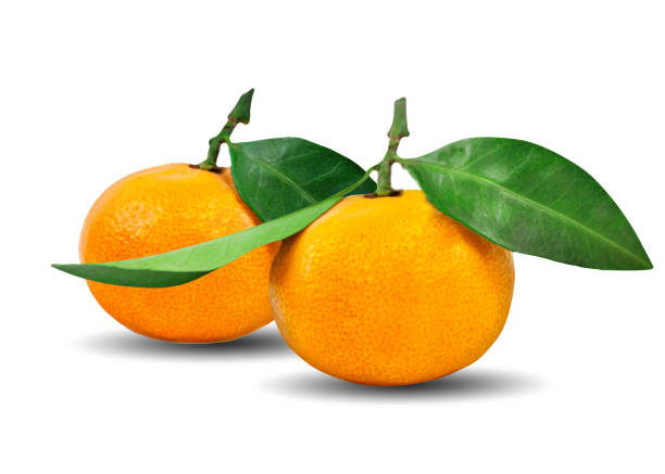 istock Tangerine or mandarin fruit with leaves isolated on white background. 1326667766