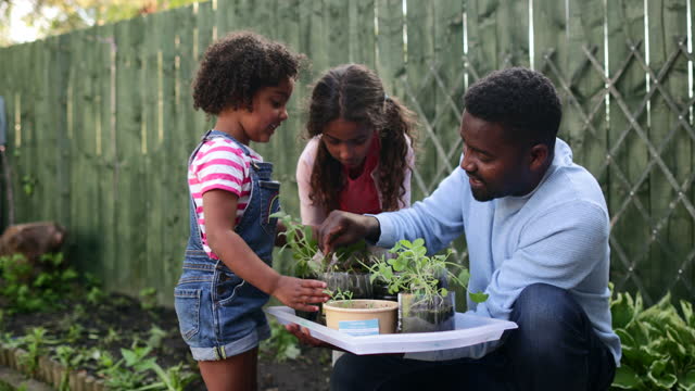 Learning to Grow Plants at Home