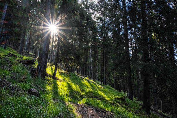 istock Sunrays in Western Tatras mountains, Slovakia 1326671911