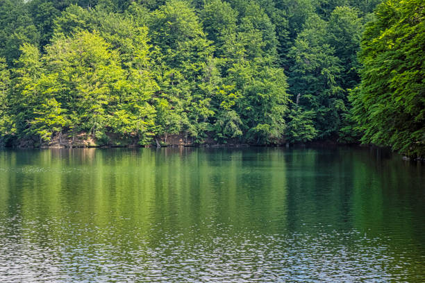 morske oko lake, vihorlat mountains, east slovakia - 16204 imagens e fotografias de stock