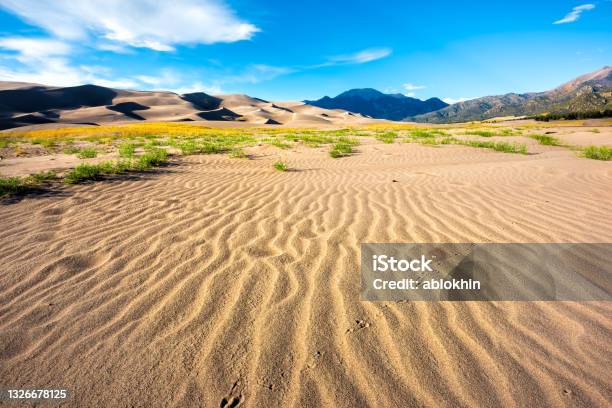 Great Sand Dunes National Park And Preserve In Colorado In Autumn Fall Season Wide Angle View Of Landscape And Blue Sky Stock Photo - Download Image Now