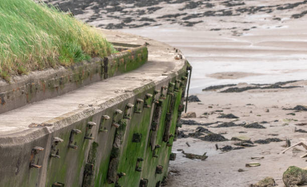 istock Rusty shipwreck in the Severn Estuary 1326678396