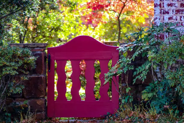 Photo of Garden fence in autumn - decrative magenta fence in rock wall surrounded with foliage and fall trees in background