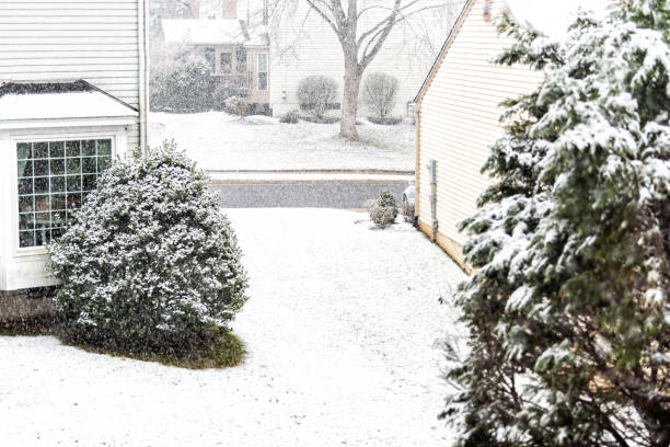 istock Snowstorm white storm snowing weather outside outdoors with tree branches covered in snow in backyard yard of house in Virginia 1326681861