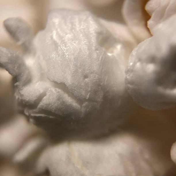 Popcorn Close Up