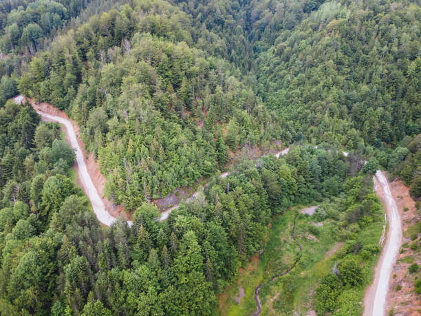 istock Curving road winding through green mountains, aerial view 1326684248