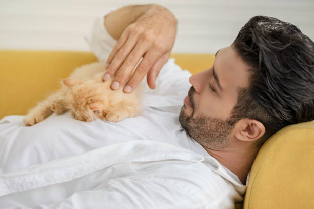 At home, a male relaxes with his kitten best friend, surrounded by love and friendship. stock photo