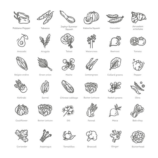 stockillustraties, clipart, cartoons en iconen met vegetables set. basic vegetables thin line icons - groene salade