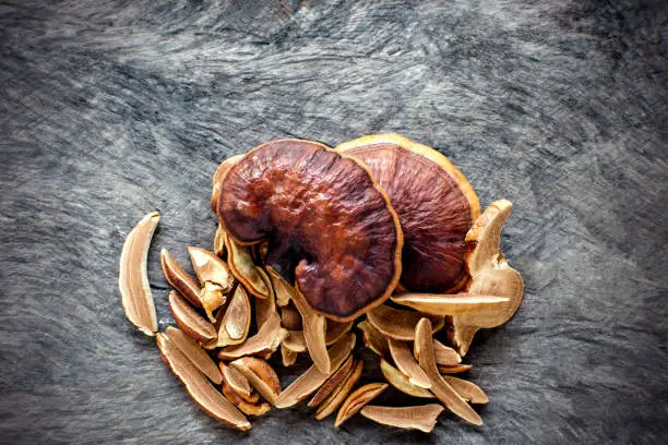 Photo of Fresh Lingzhi mushroom on dark wooden floor.