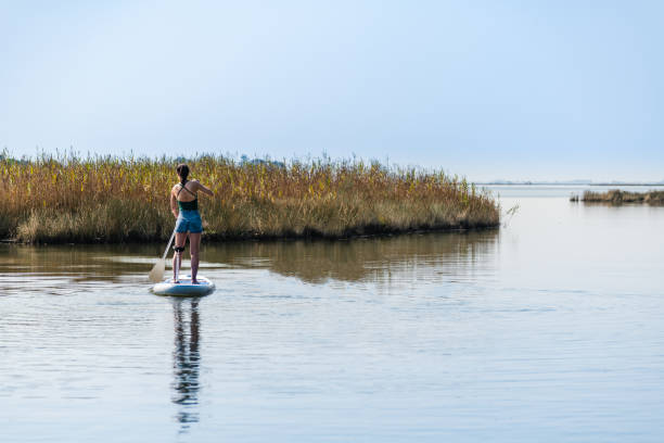 istock Woman stand up paddleboarding 1326702067
