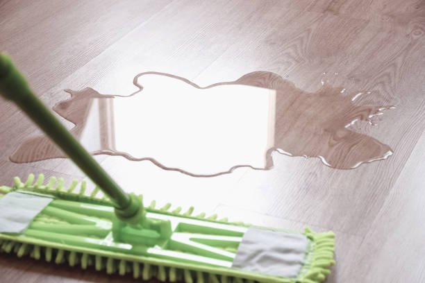 istock wet floor and mop wiping water, closeup 1326704646