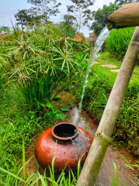 istock shower in the garden 1326719833