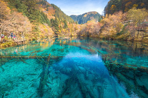The panoramic blue color scenery of the long lake and  colorful of forest at Jiuzhaigou national park, China.