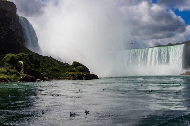170+ Bruce Power Stock Photos, Pictures & Royalty-Free Images - iStock