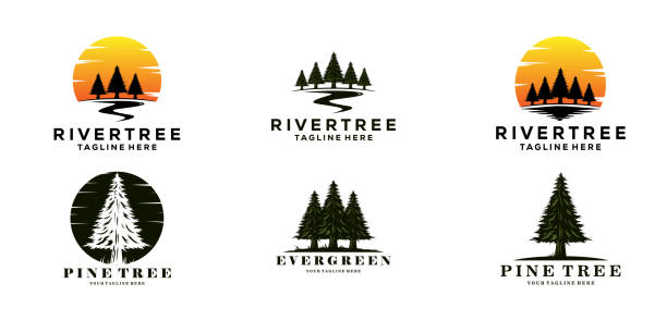 illustrazioni stock, clip art, cartoni animati e icone di tendenza di set di sempreverde icona pino annata con river creek vettore emblema illustrazione design - lumber industry forest tree pine