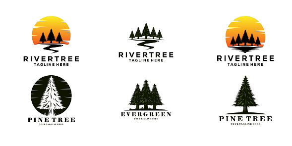 set of evergreen pine tree icon vintage with river creek vector emblem illustration design.