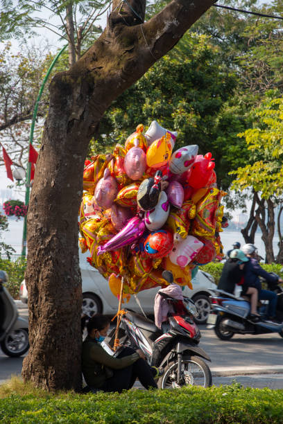 Hanoi, Vietnam – February 14, 2021: balloon seller on Thanh Nien Street in Hanoi selling helium filled balloons.  Many thousands of street vendors exist in Hanoi, with an estimated 90% of them coming from surrounding rural areas. These numbers indicate the much greater earning potential in urban rather than in rural spaces. In July 2008, Hanoi's city government devised a policy to partially ban street vendors and side-walk based commerce. Although street vendors provide a traditional and nostalgic aura to the city, in reality street vending was much less common prior to the 1986 Đổi Mới economic liberalization policies.  Rather it indicates the entrepreneurial spirit of Vietnamese people.