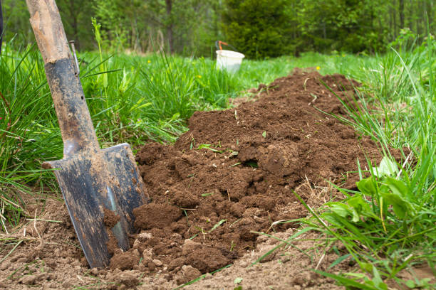 istock the shovel stands on freshly dug soil 1326737851