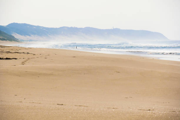 A long golden colored, deserted beach In the early morning, with the far edge obscured in a light ocean mist, on the Indian Ocean side on KaNyaka Island, Mozambique