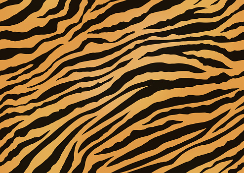 Horizontally And Vertically Repeatable Tiger Skin Seamless Vector Illustration.