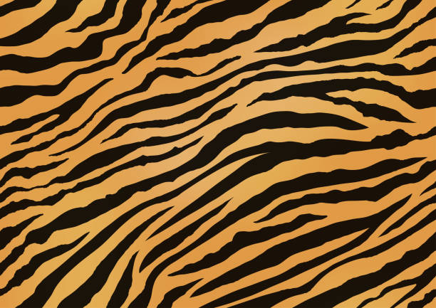 Horizontally And Vertically Repeatable Tiger Skin Seamless Vector Illustration. Tiger Skin Seamless Vector Illustration. Horizontally And Vertically Repeatable. Exotic Animal Skin Pattern With Black Stripes. animal pattern stock illustrations
