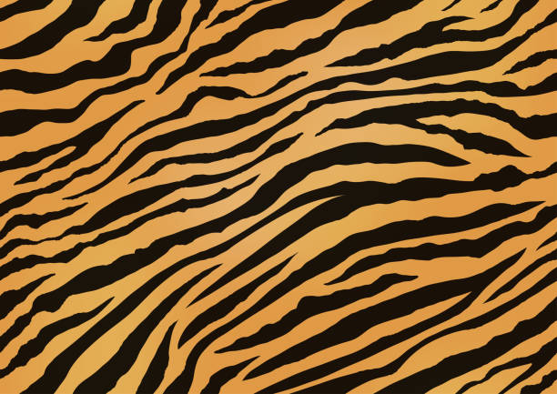 horizontally and vertically repeatable tiger skin seamless vector illustration. - 虎 幅插畫檔、美工圖案、卡通及圖標