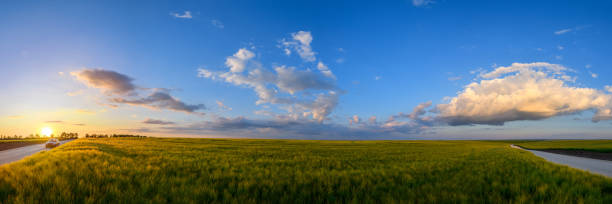 istock Wheat field landscape with path before the sunset time 1326742581