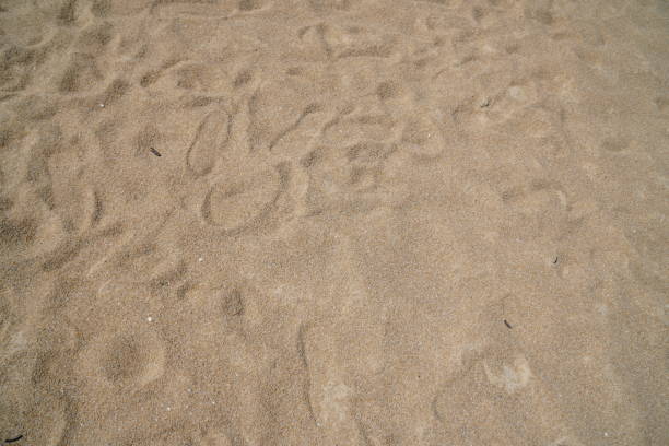 istock Abstract Surface brown sand beach with texture background on the beach of thailand - Image Backdrop wit copy space 1326746579