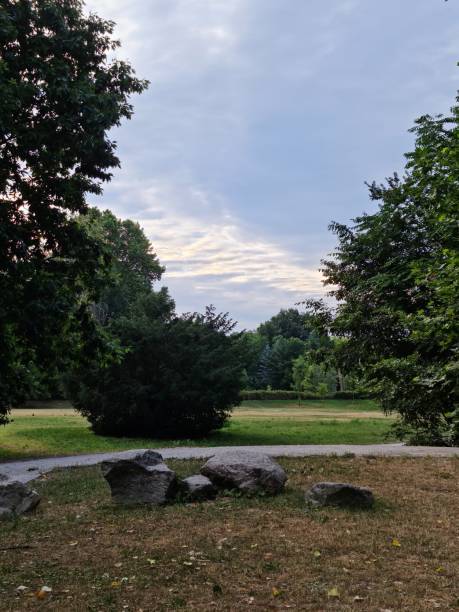 istock Park with green plant 1326746735