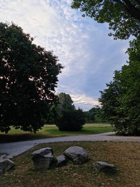 istock Park with green plant 1326746771