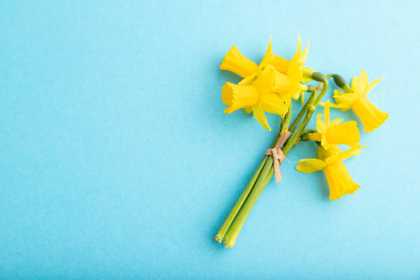 istock Spring snowdrop narcissus flowers bouquet on blue pastel background. top view, flat lay, copy space, still life. Beauty, spring concept. 1326747587